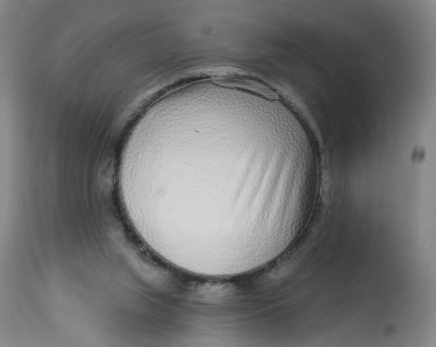 X0000113020063200909171505