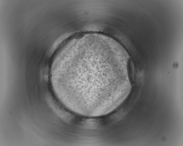 X0000113020064200909171505