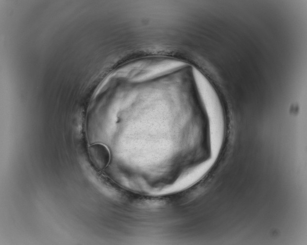 X0000113020065200909171505