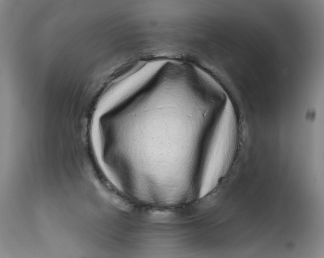 X0000113020066200909171505