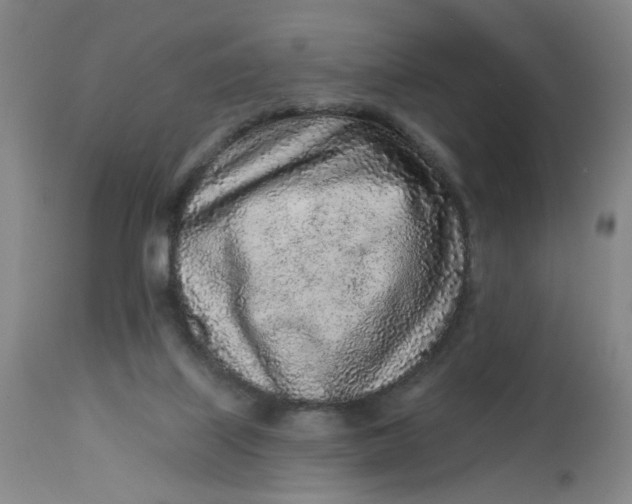 X0000113020067200909171505