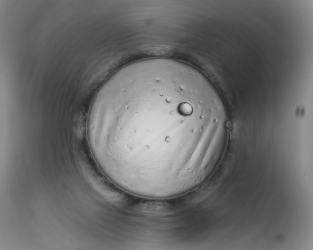 X0000113020069200909171505