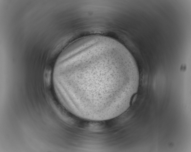 X0000113020070200909171505