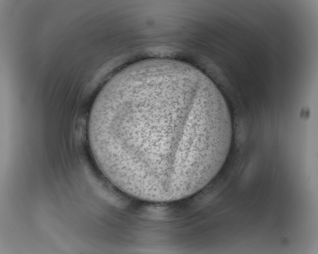 X0000113020071200909171505