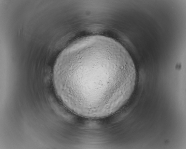 X0000113020073200909171505