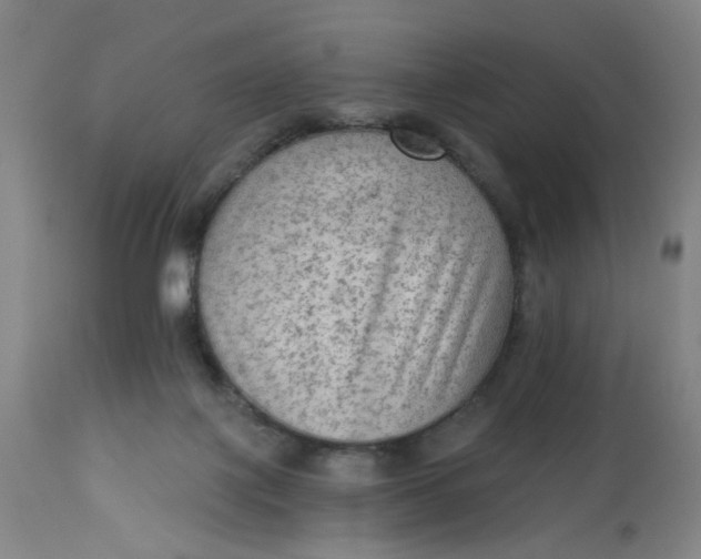 X0000113020075200909171505