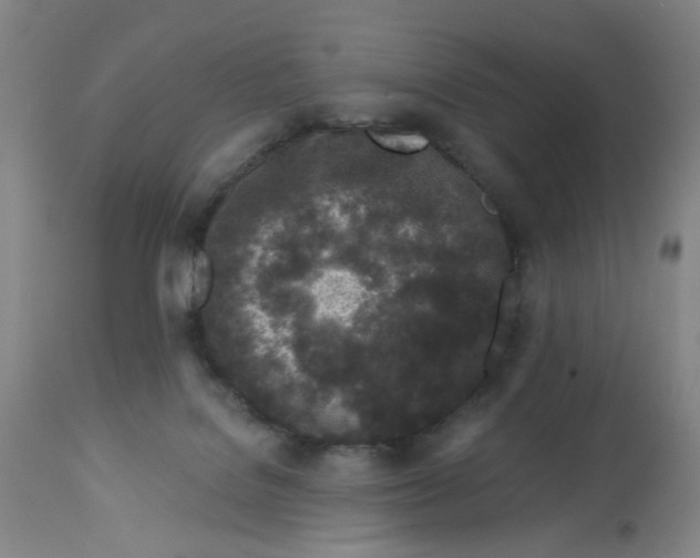 X0000113020076200909171505