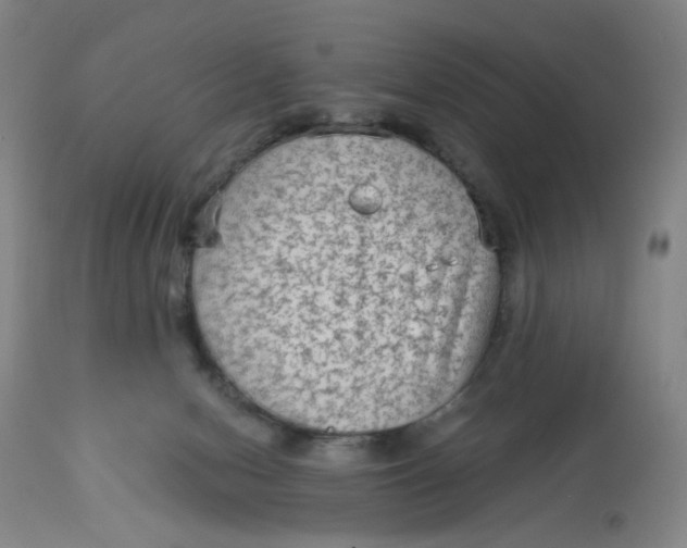 X0000113020078200909171505