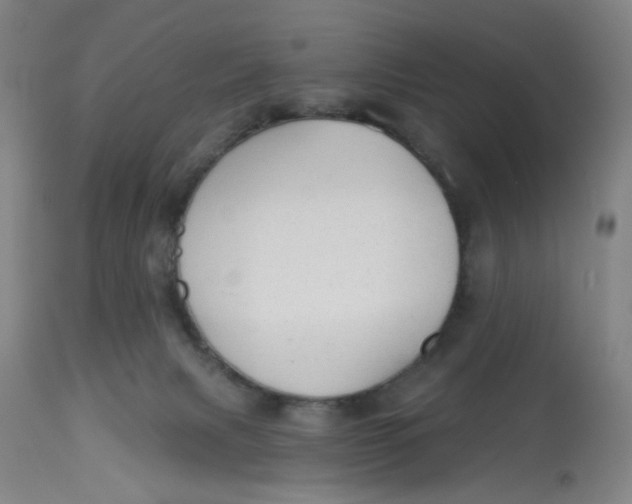 X0000113020079200909171505