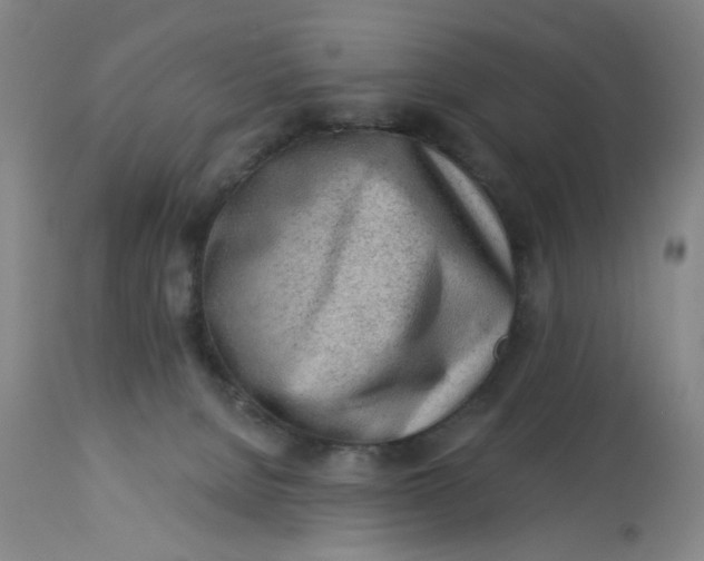 X0000113020080200909171505