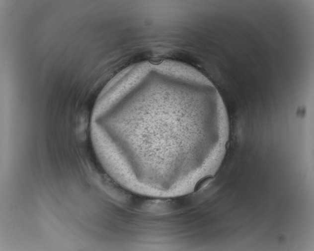 X0000113020082200909171505