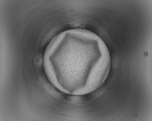 X0000113020085200909171505