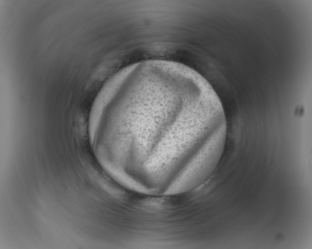 X0000113020086200909171505