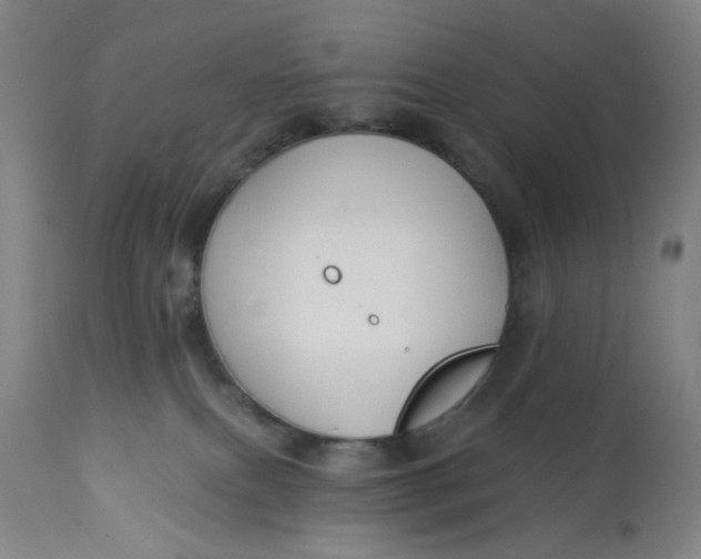 X0000113020087200909171505