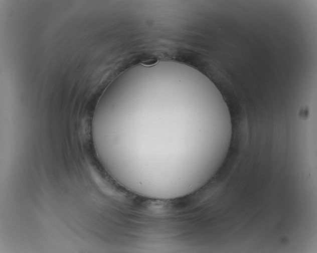 X0000113020088200909171505