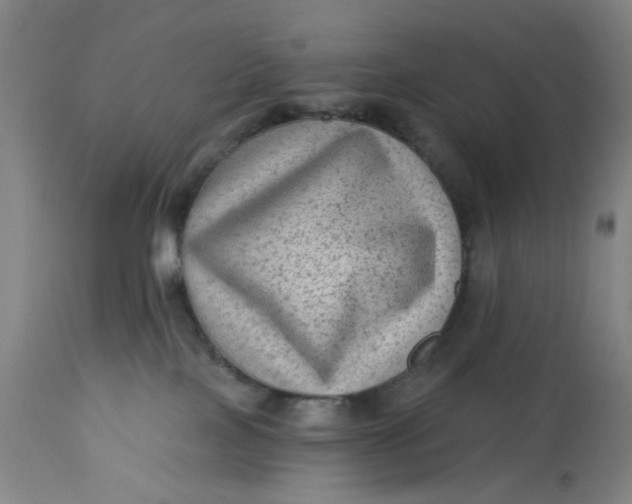 X0000113020089200909171505