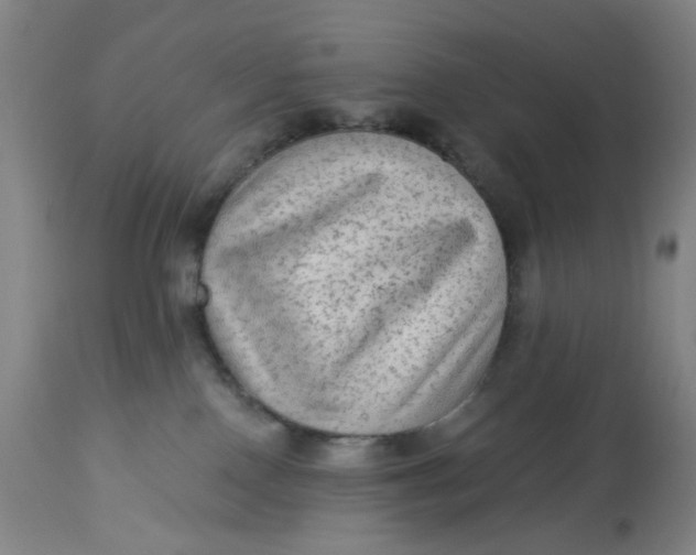 X0000113020090200909171505