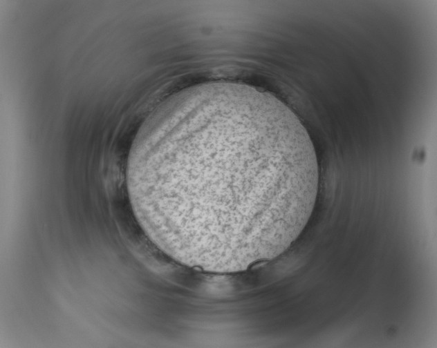 X0000113020091200909171505