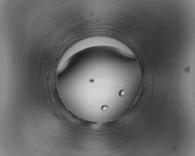 X0000113020092200909171505