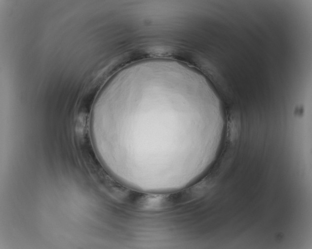 X0000113020093200909171505