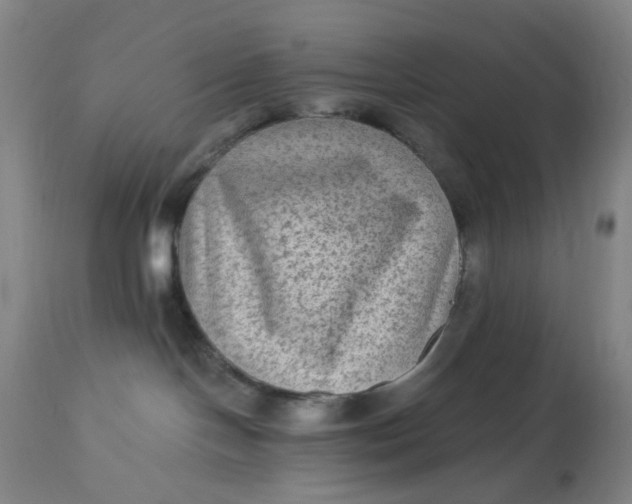 X0000113020094200909171505