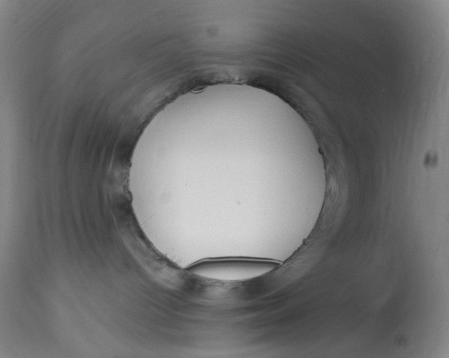 X0000113020096200909171505