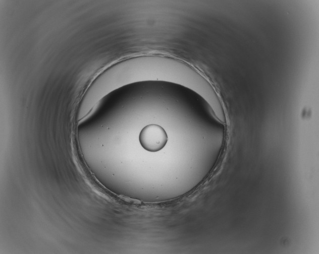 X0000113020097200909171505