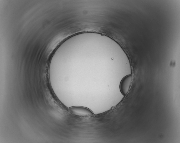 X0000113020098200909171505