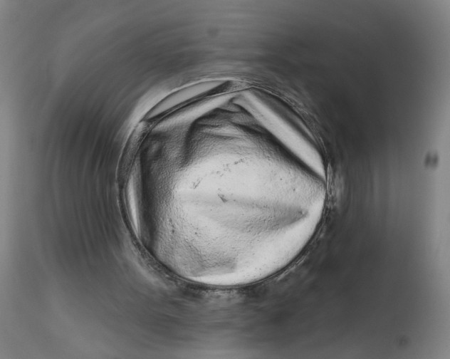 X0000113020099200909171504