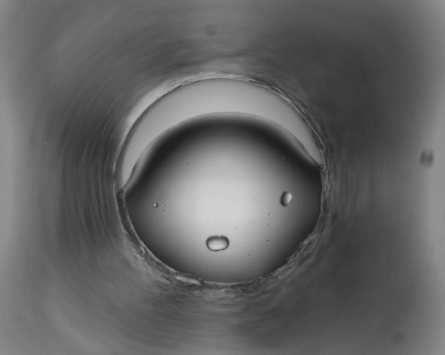 X0000113020100200909171504