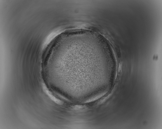 X0000113020101200909171504