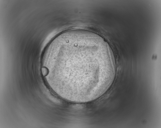 X0000113020102200909171504