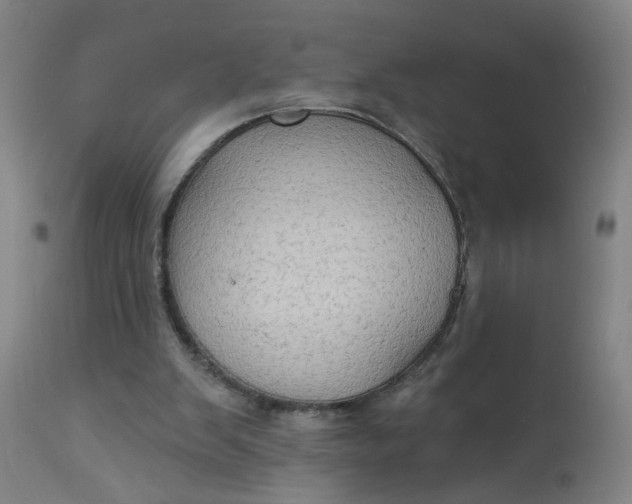 X0000113020103200909171504