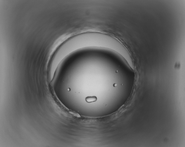 X0000113020104200909171504