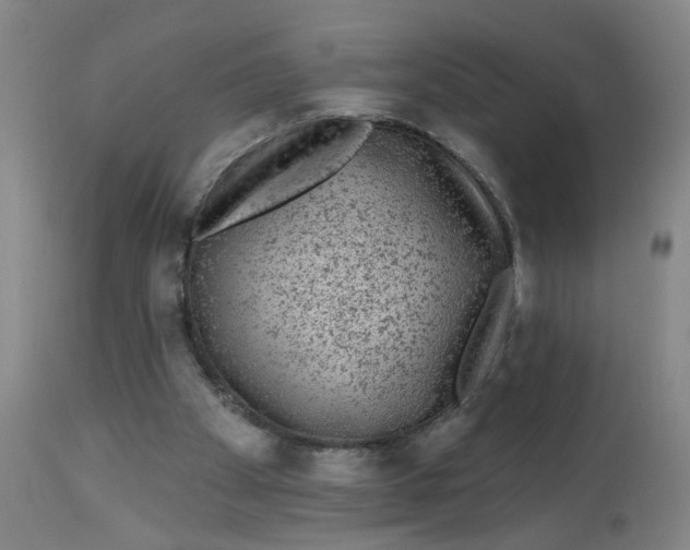 X0000113020105200909171504