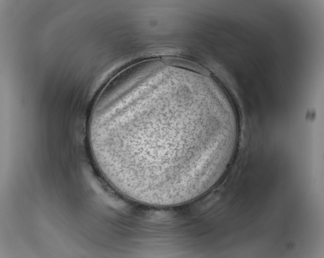 X0000113020107200909171504