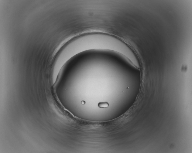 X0000113020108200909171504