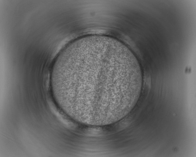 X0000113020110200909171504