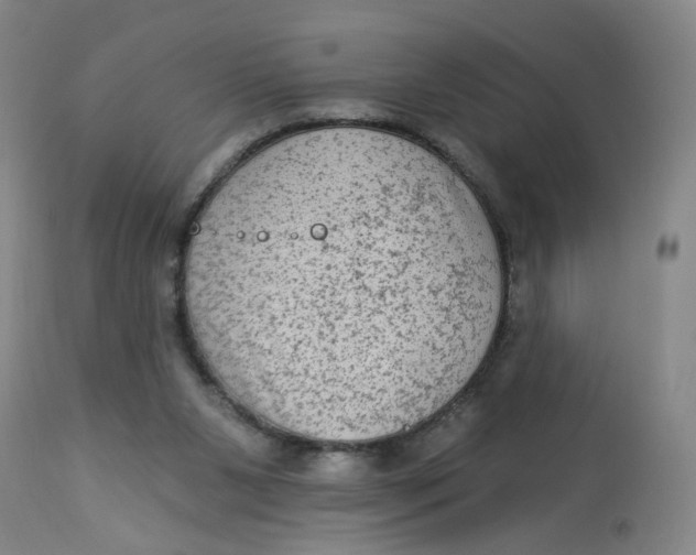 X0000113020111200909171504