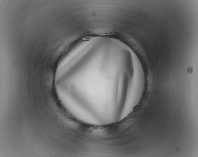 X0000113020113200909171504