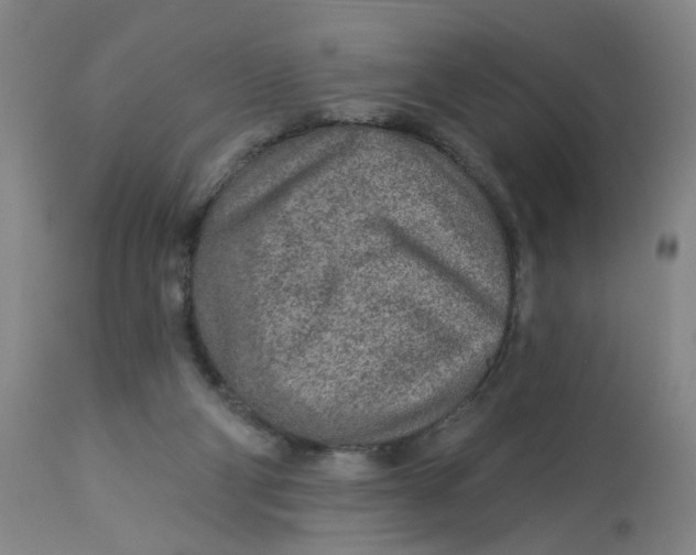 X0000113020114200909171504