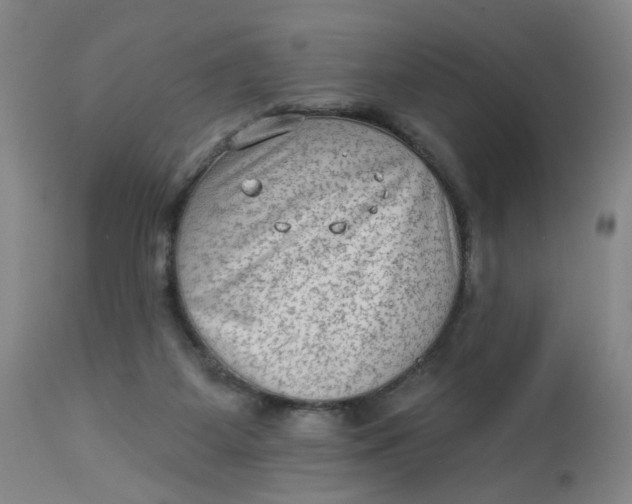 X0000113020115200909171504