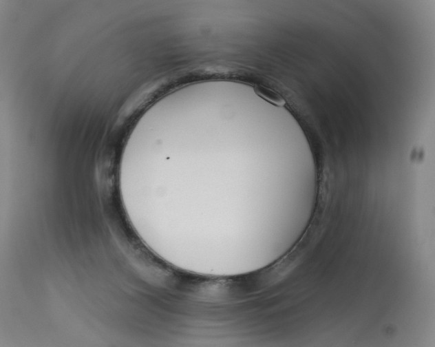 X0000113020116200909171504