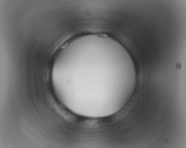 X0000113020120200909171504