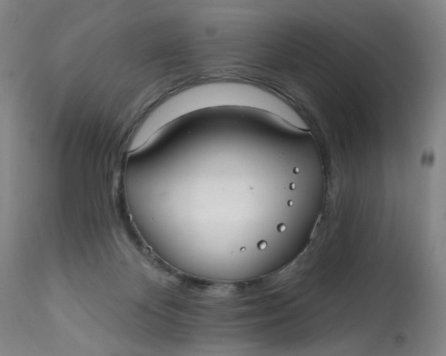 X0000113020124200909171504