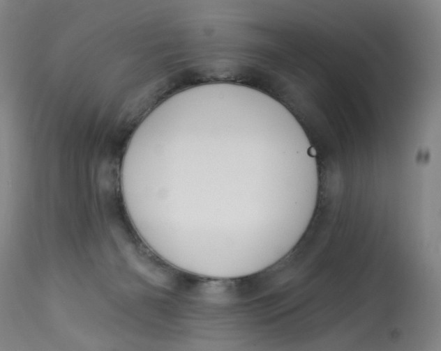 X0000113020126200909171504