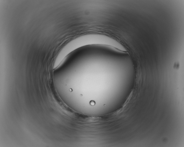 X0000113020128200909171504