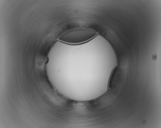 X0000113020129200909171504