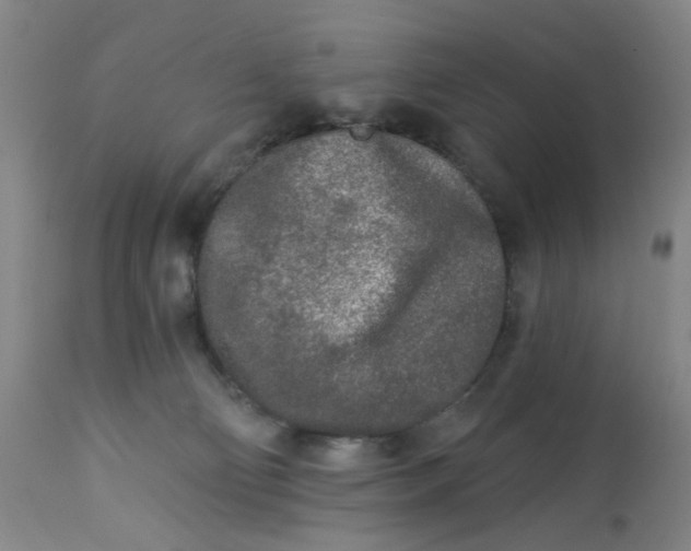 X0000113020130200909171504