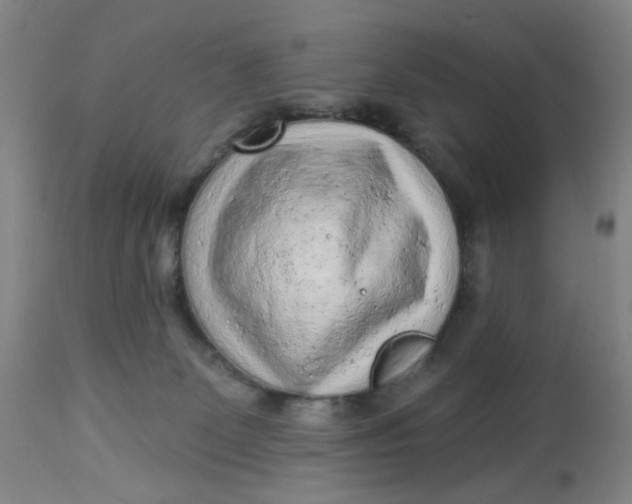 X0000113020131200909171504